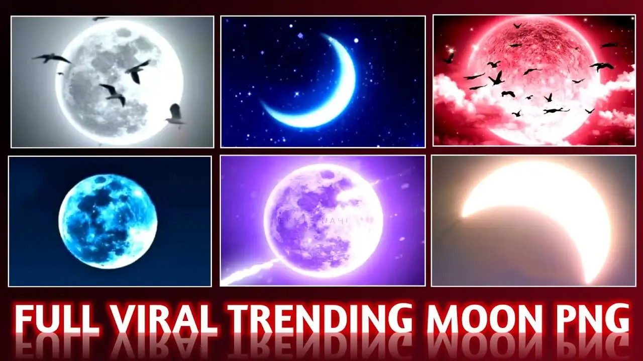 A Bright Moon PNG - autumn, bright moon, circle, decorative, moon png  download 