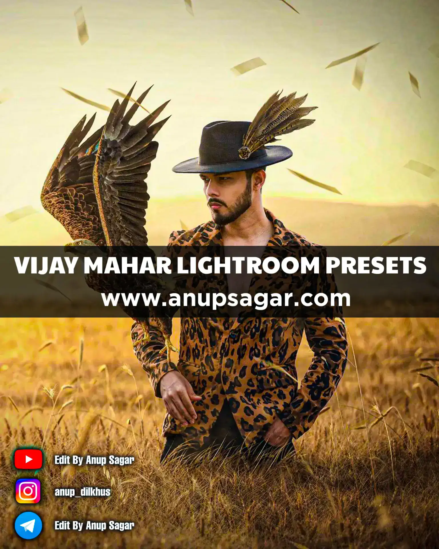 Vijay Mahar Lightroom Presets