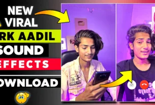 Ark Aadil Sound Effect Download