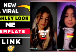 Ashley Look At Me Capcut Template