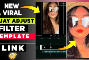 Emjay Adjust Filter CapCut Template