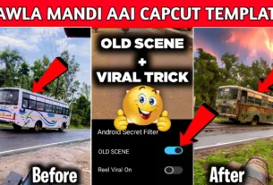Rawla Mandi Aai Capcut Template