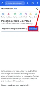 Instagram Reel Download From Link