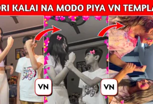 Mori Kalai Na Modo Piya VN Template