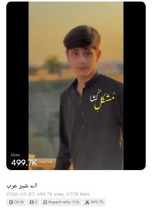 Aye Shere Arab Capcut Template