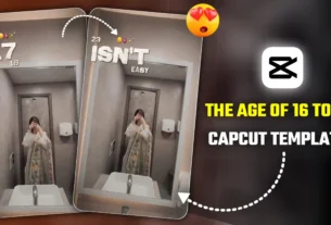 The Age of 16 to 23 Capcut Template