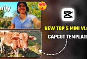 Top 5 Daily Mini Vlog Capcut Template