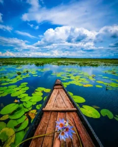 Cinemetic Boat Photo editing